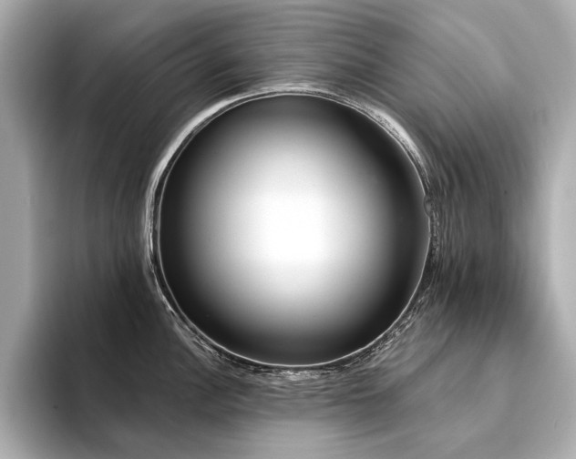X0000094331148200711021405