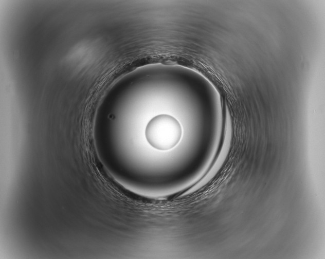 X0000094331153200711021404