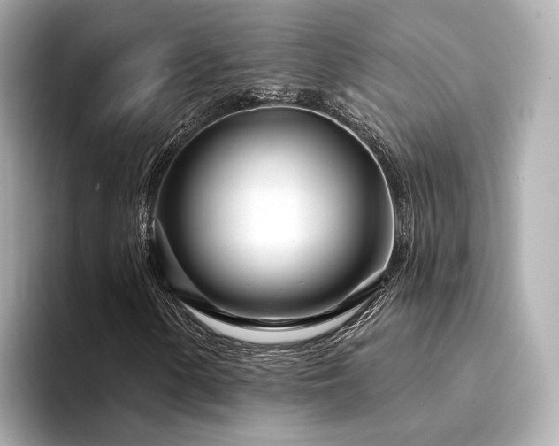 X0000094331154200711021404