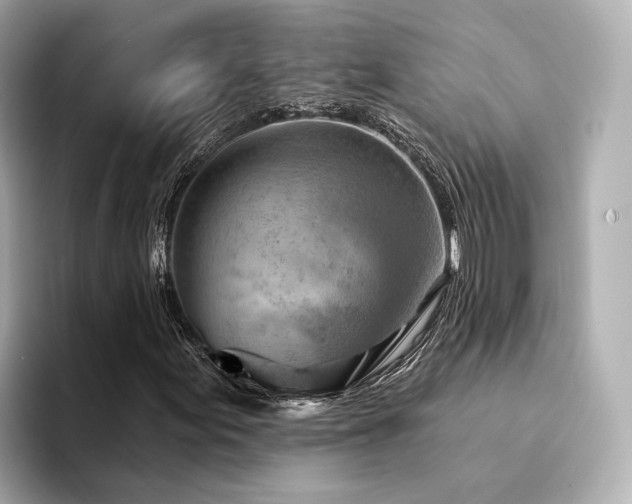 X0000094331155200711021404