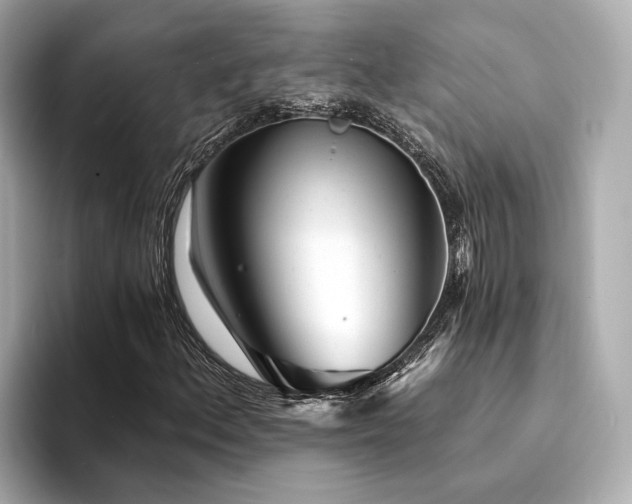 X0000094331156200711021404
