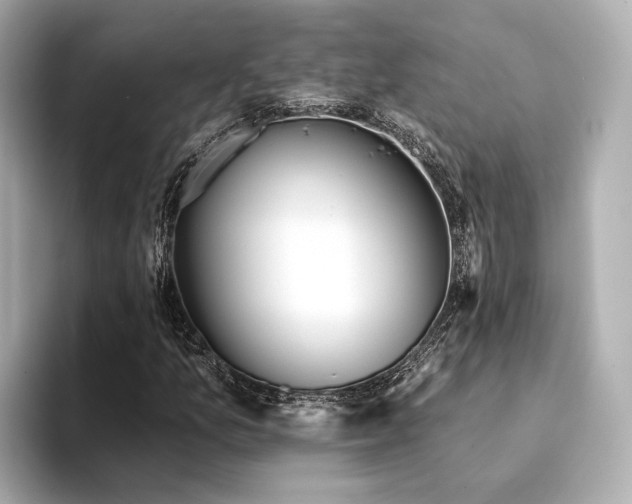 X0000094331157200711021404