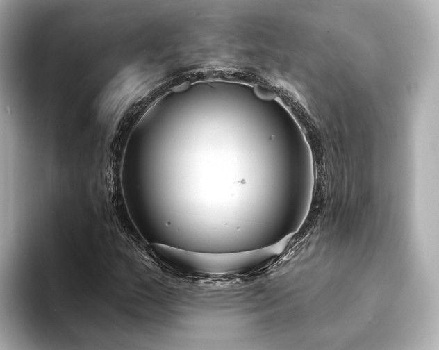 X0000094331159200711021404