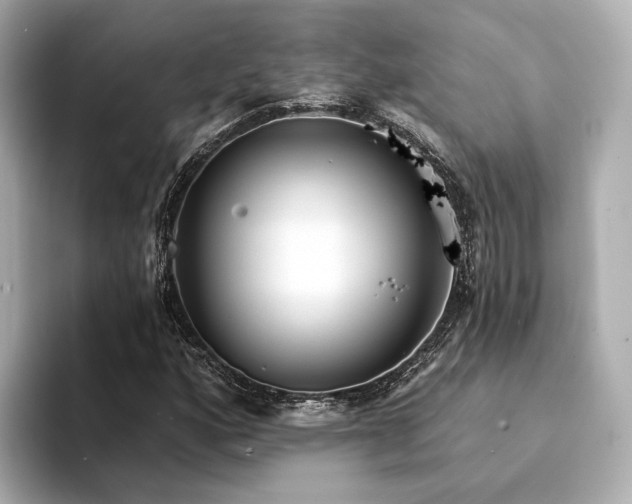 X0000094331160200711021404