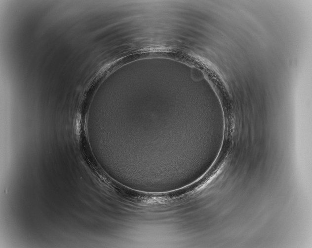 X0000094331161200711021404