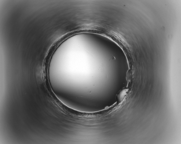 X0000094331164200711021404