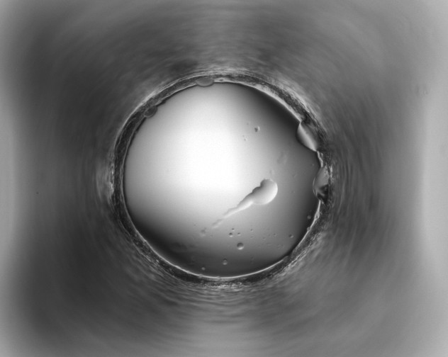 X0000094331165200711021404