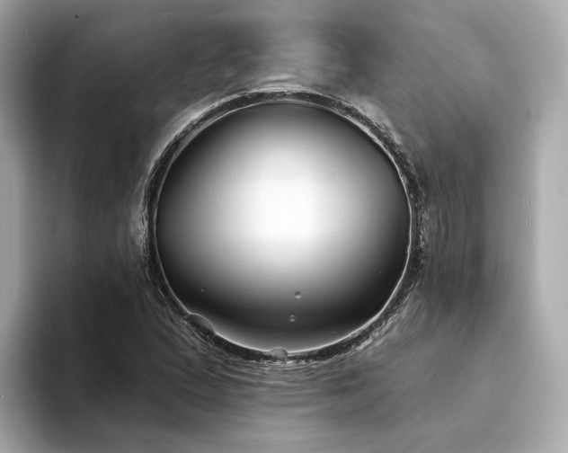 X0000094331167200711021404