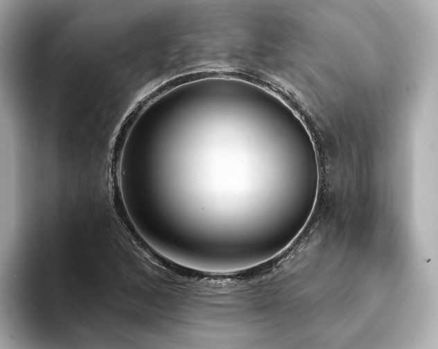 X0000094331168200711021404