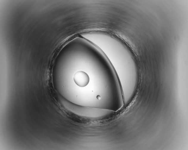 X0000094331169200711021404