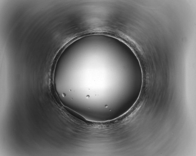 X0000094331170200711021404