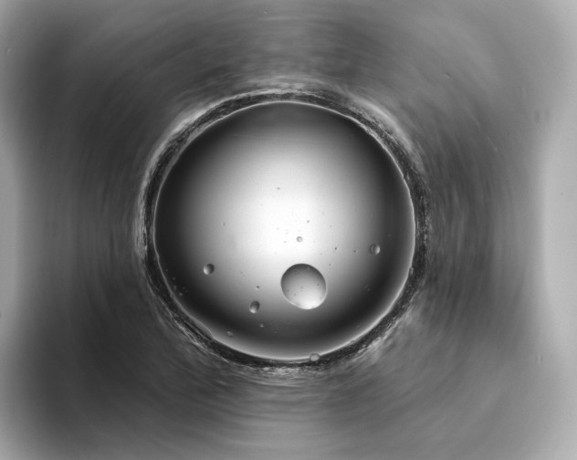 X0000094331172200711021404