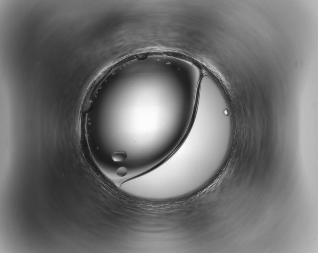 X0000094331173200711021404