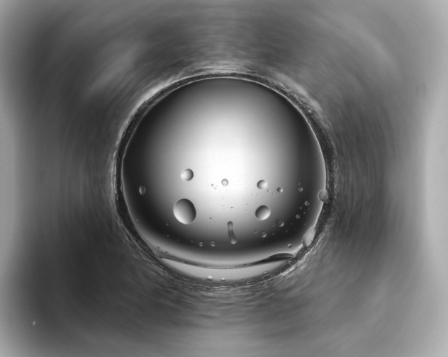 X0000094331174200711021404