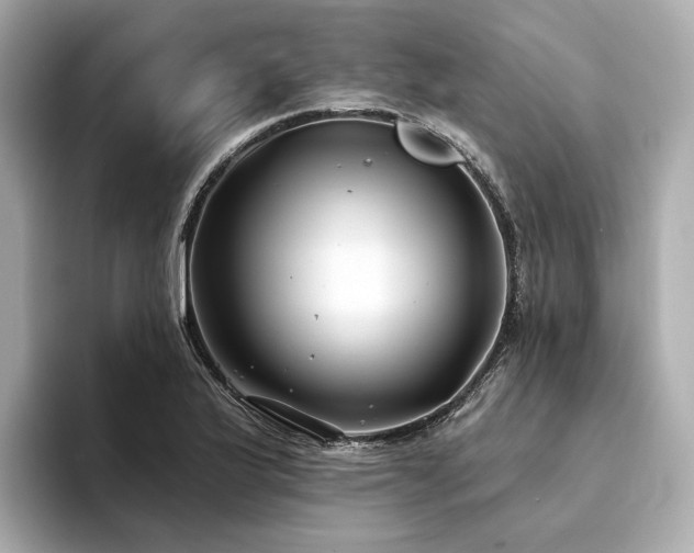 X0000094331175200711021404