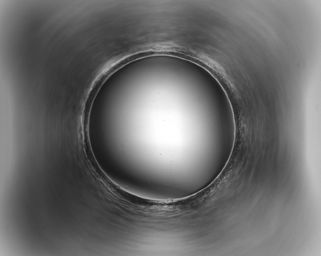 X0000094331176200711021404