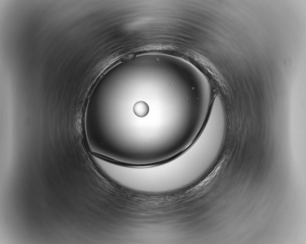 X0000094331177200711021404
