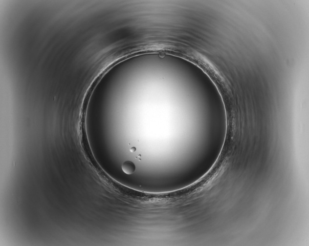 X0000094331178200711021404