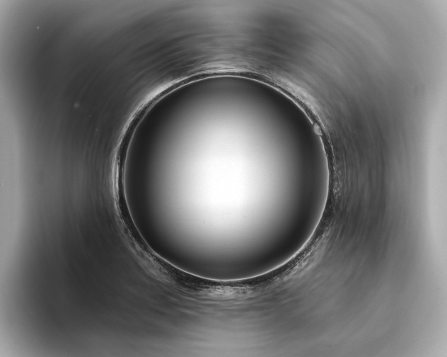 X0000094331179200711021404