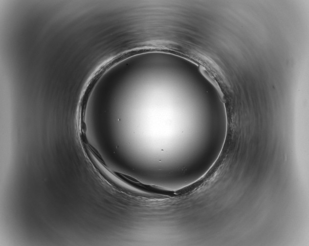 X0000094331180200711021404