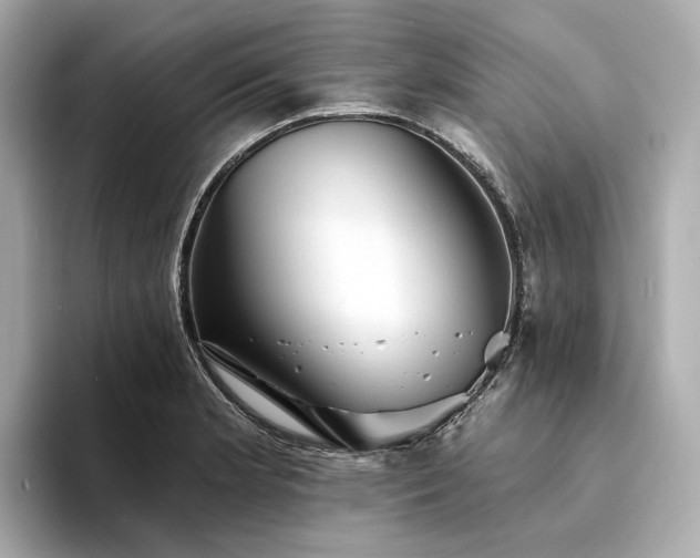 X0000094331181200711021404