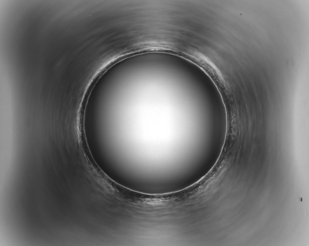 X0000094331182200711021404