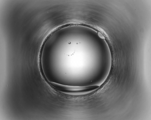 X0000094331183200711021404