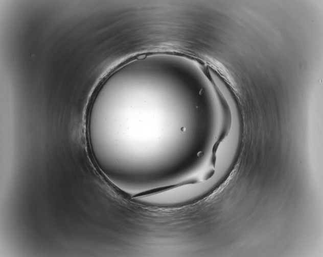 X0000094331184200711021404