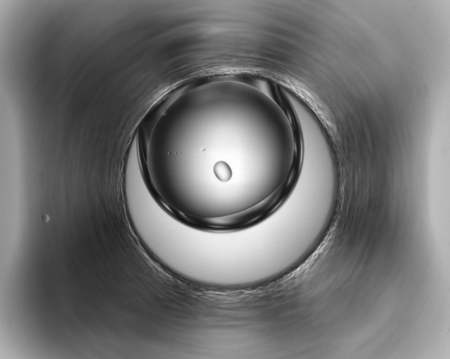 X0000094331185200711021404
