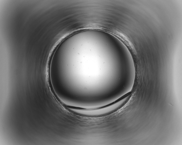 X0000094331188200711021404