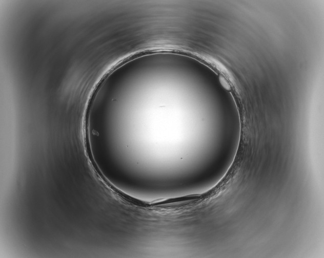 X0000094331191200711021404