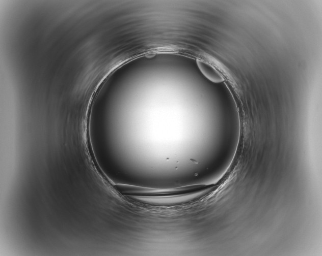 X0000094331194200711021404