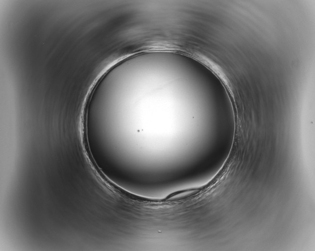 X0000094331195200711021404