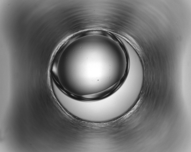 X0000094331196200711021404