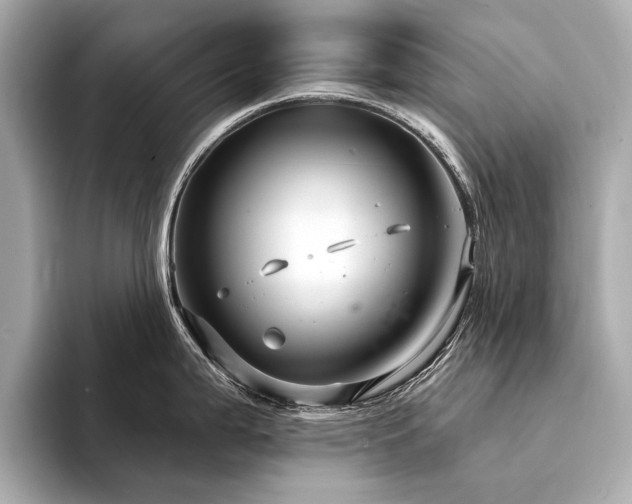 X0000094331199200711021404