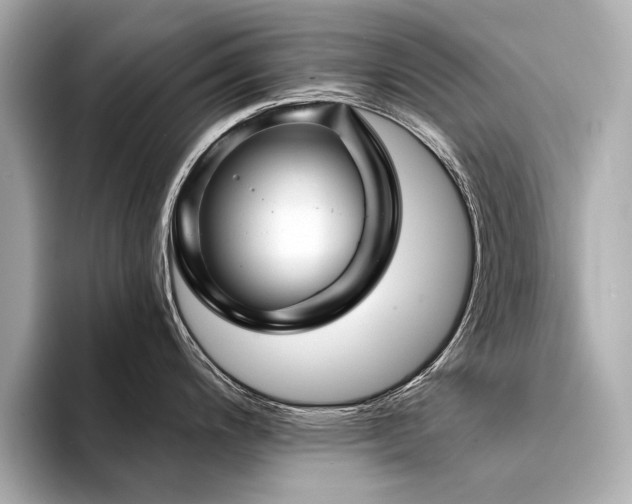 X0000094331200200711021404
