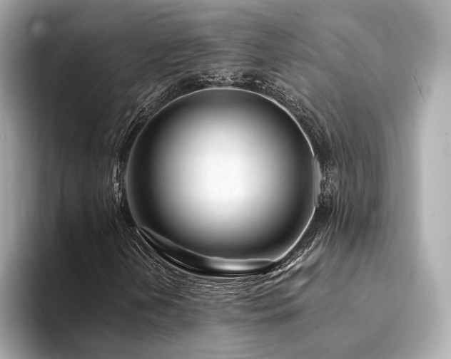 X0000094331202200711021403