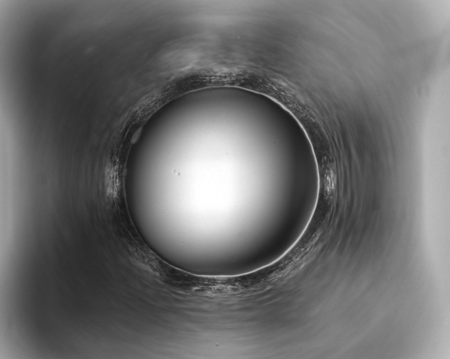 X0000094331204200711021403