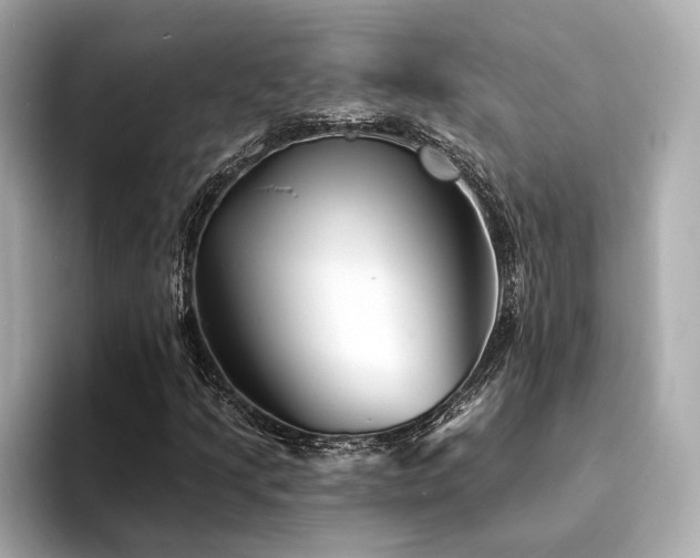 X0000094331205200711021403