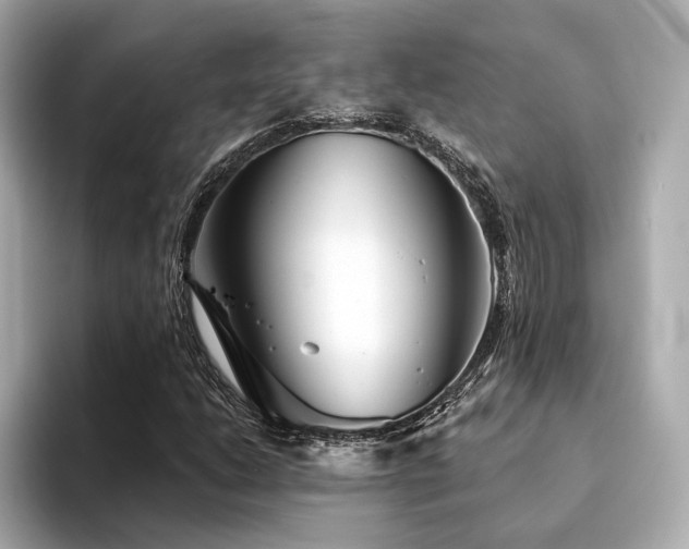 X0000094331206200711021403