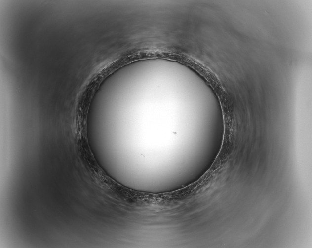 X0000094331207200711021403