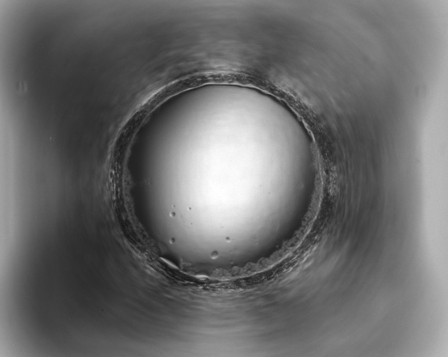 X0000094331208200711021403