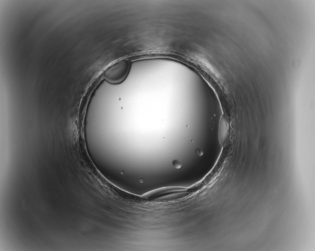 X0000094331212200711021403