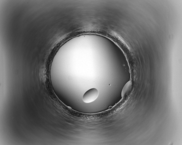 X0000094331213200711021403