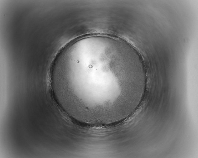 X0000094331215200711021404