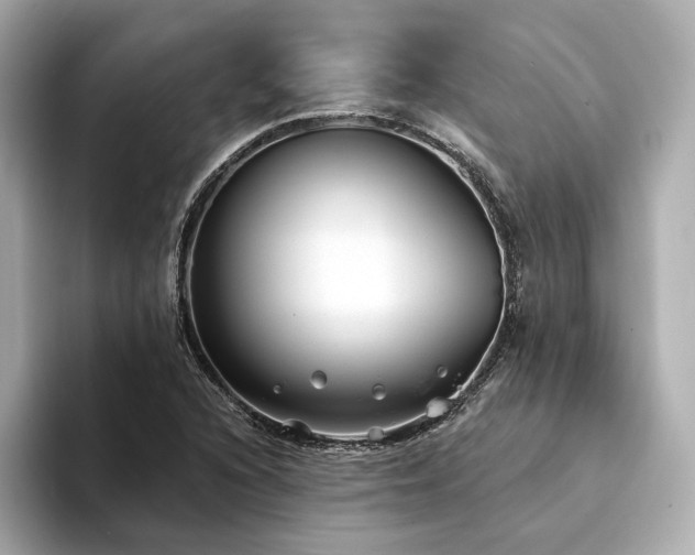 X0000094331216200711021404