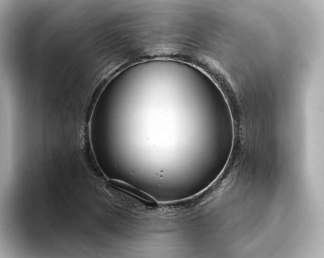 X0000094331217200711021404