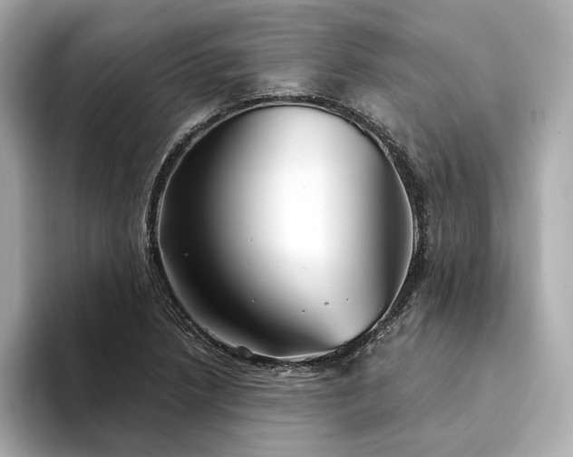 X0000094331218200711021404