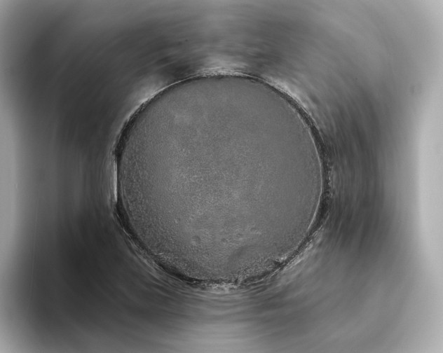 X0000094331219200711021404