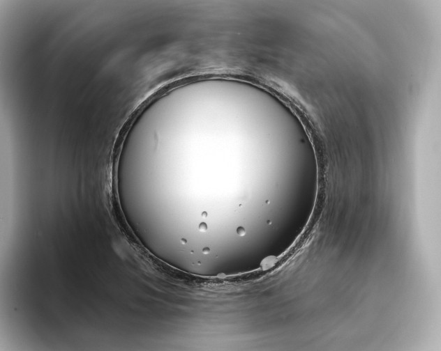 X0000094331220200711021404